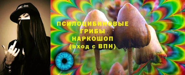 эйфоретик Нея