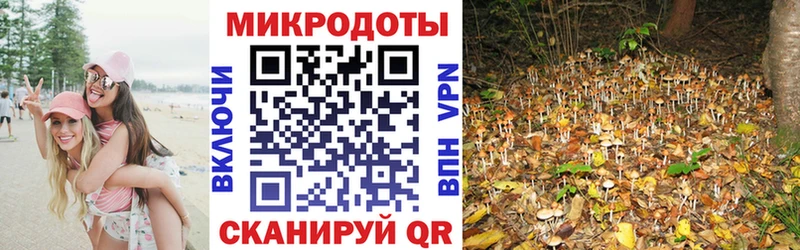Псилоцибиновые грибы GOLDEN TEACHER  хочу наркоту  Николаевск-на-Амуре 